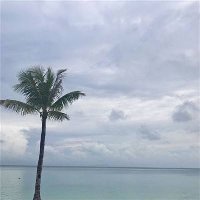 海贼联盟游戏
